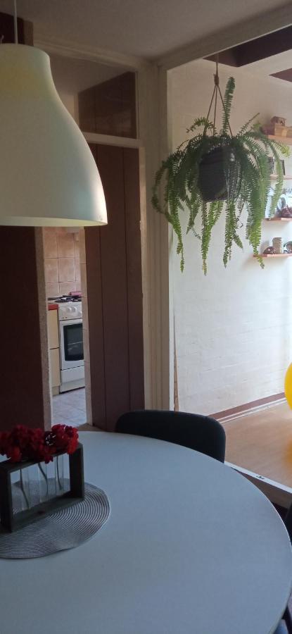 Branysol Apartman โนวีซาด ภายนอก รูปภาพ
