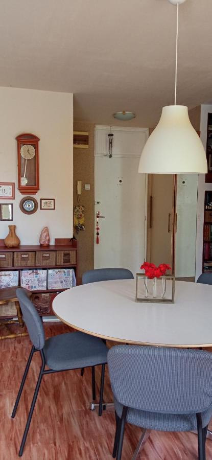Branysol Apartman โนวีซาด ภายนอก รูปภาพ