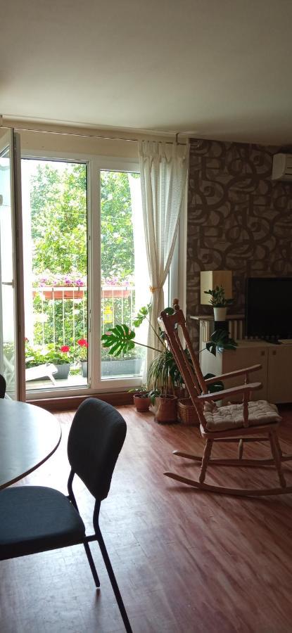 Branysol Apartman โนวีซาด ภายนอก รูปภาพ